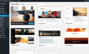 O Que é Site Personalizado em WordPress